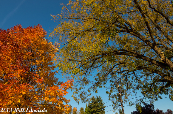 20131014_7430_7th-Ave-Puyallup