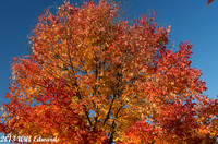 20131014_7400_7th-Ave-Puyallup
