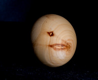 Wood Egg 2023-05