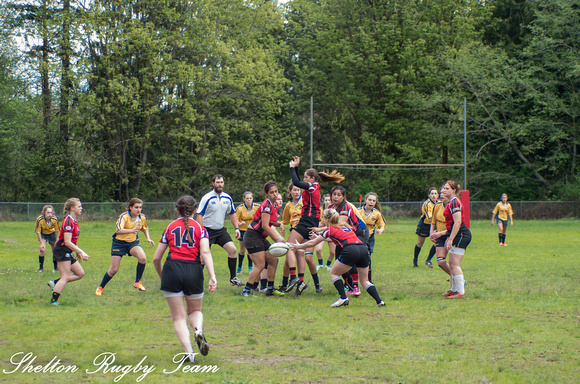 140420-9414_Rugby-Shelton
