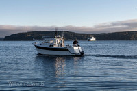 20120413_8222_Point-Defiance