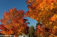 20131014_7399_7th-Ave-Puyallup