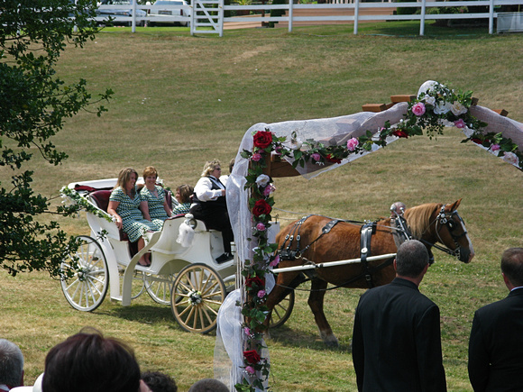 08.0360.carriage.bridemaids