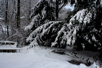 08.1641.snow.yard.sm.jpg