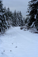 08.1657.snow.rr.tracks.sm.jpg