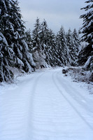 08.1655.snow.rr.tracks.sm.jpg
