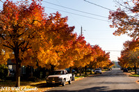 20131014_7410_7th-Ave-Puyallup