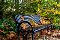 151027_0537 Park Bench.