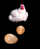 2023.06.23 8298  two wood eggs chicken-2 sm