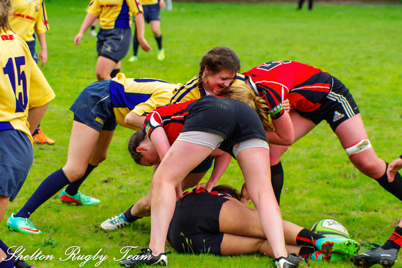 140420-9511_Rugby-Shelton