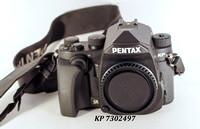 Pentax KP-sn 7302497_2 20230821-5