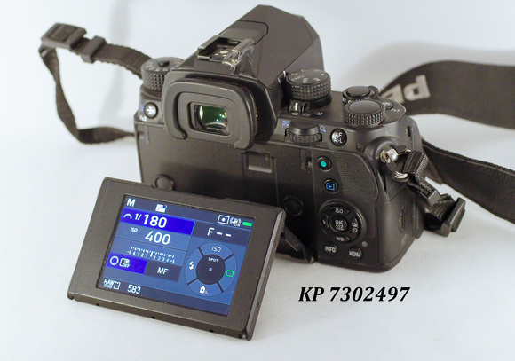 Pentax KP-sn 7302497_2 20230821-8