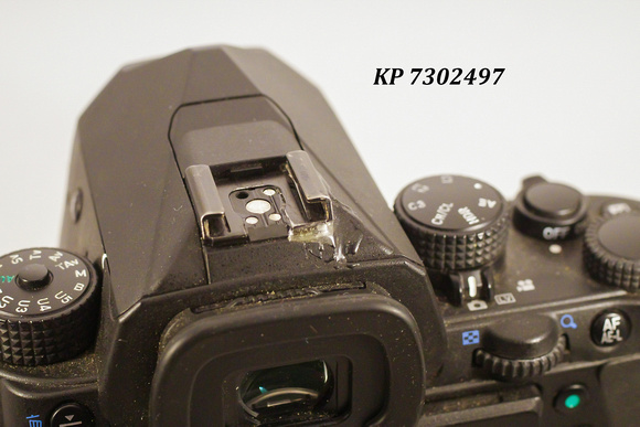 Pentax KP-sn 7302497_2 20230821-11