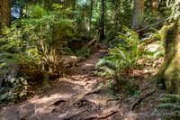 Merymere Falls and HWY 101