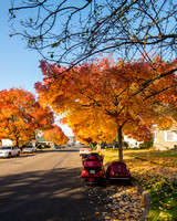 20131014 7415. 7th-Ave Puyallup.  Bower 14mm f/2.8
