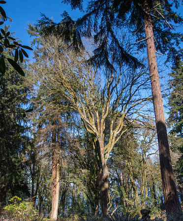 Pt Defiance Park 7792. 2020.03.18