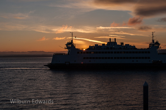 20120413_8186_Point-Defiance